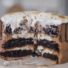 Ultimate S'mores Cake - Get ready for THE PERFECT summer cake! My dark chocolate cake layers are baked on a graham cracker crust, topped with chocolate ganache toasted marshmallow filling, chocolate buttercream and a toasted homemade marshmallow fluff. It doesn't get more ultimate than this! #cakebycourtney #ultimatesmorescake #chocolatecake #smores #smorescake #smorescakerecipe #smoresdessert #summerdessert #chocolate buttercream #summerrecipes #bestchocolatecakerecipe #bestchocolatecake #thebestchocolatebuttercream
