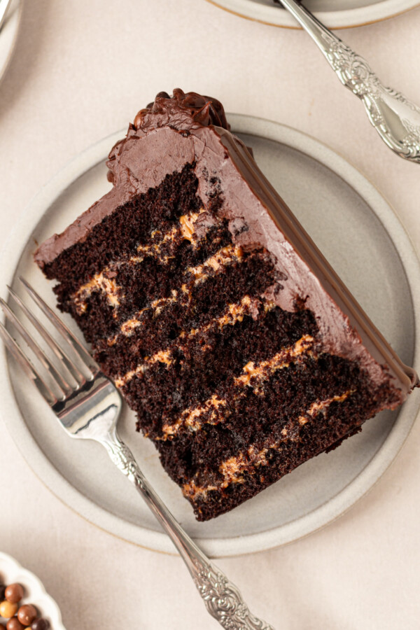 A slice of chocolate cake on the plate.