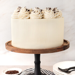 A chocolate cake with vanilla buttercream on a cake stand.