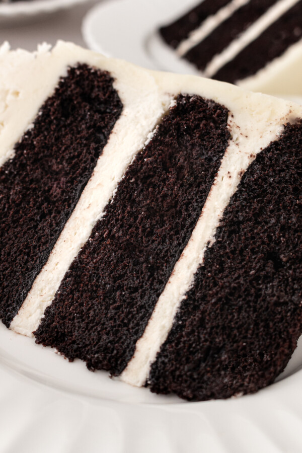 A slice of chocolate cake with vanilla buttercream.