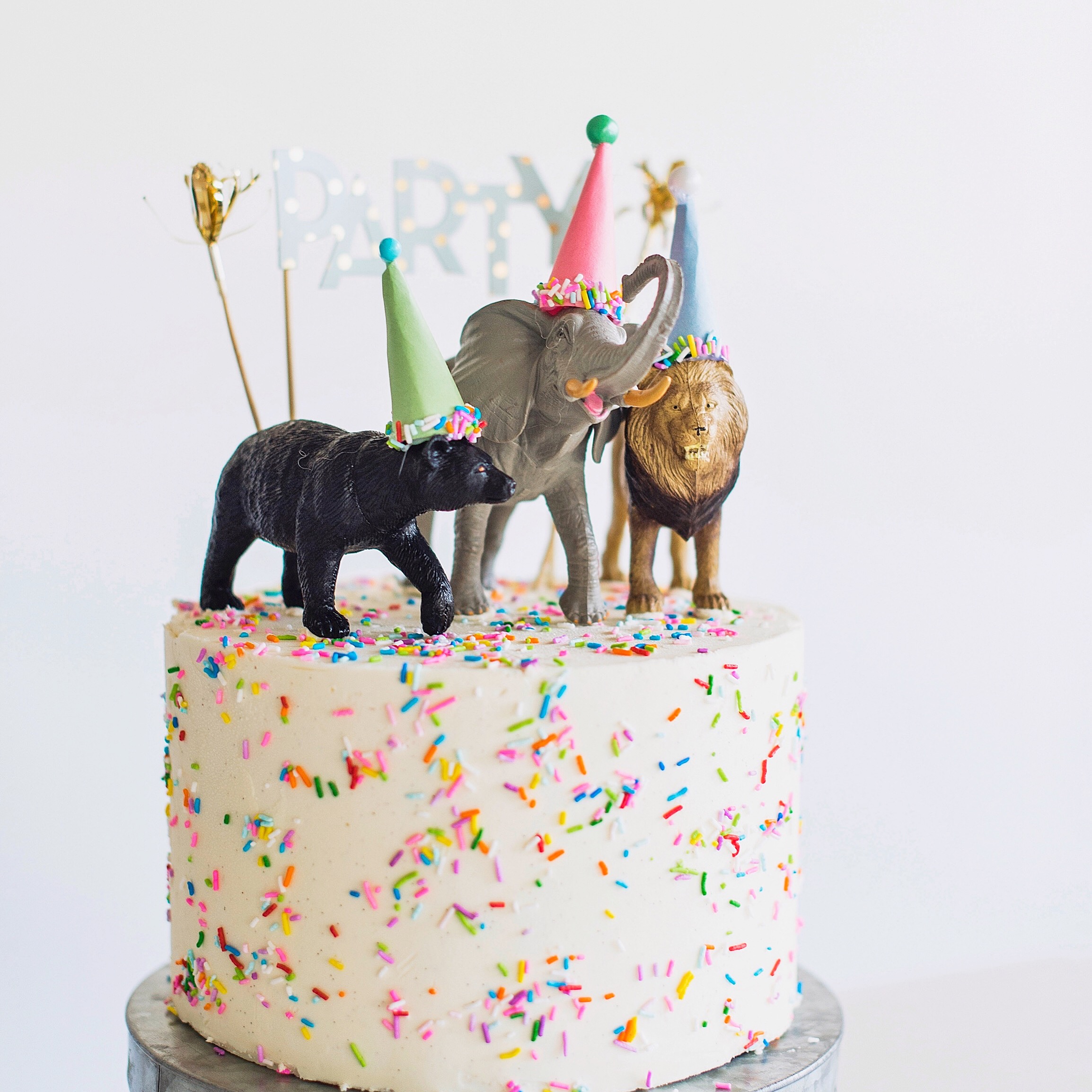 Party animal cake | Cake by Courtney