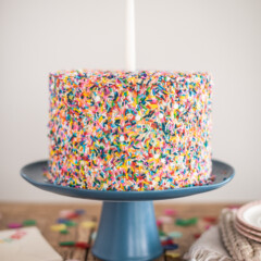 Chocolate Cake with Cake Batter Buttercream