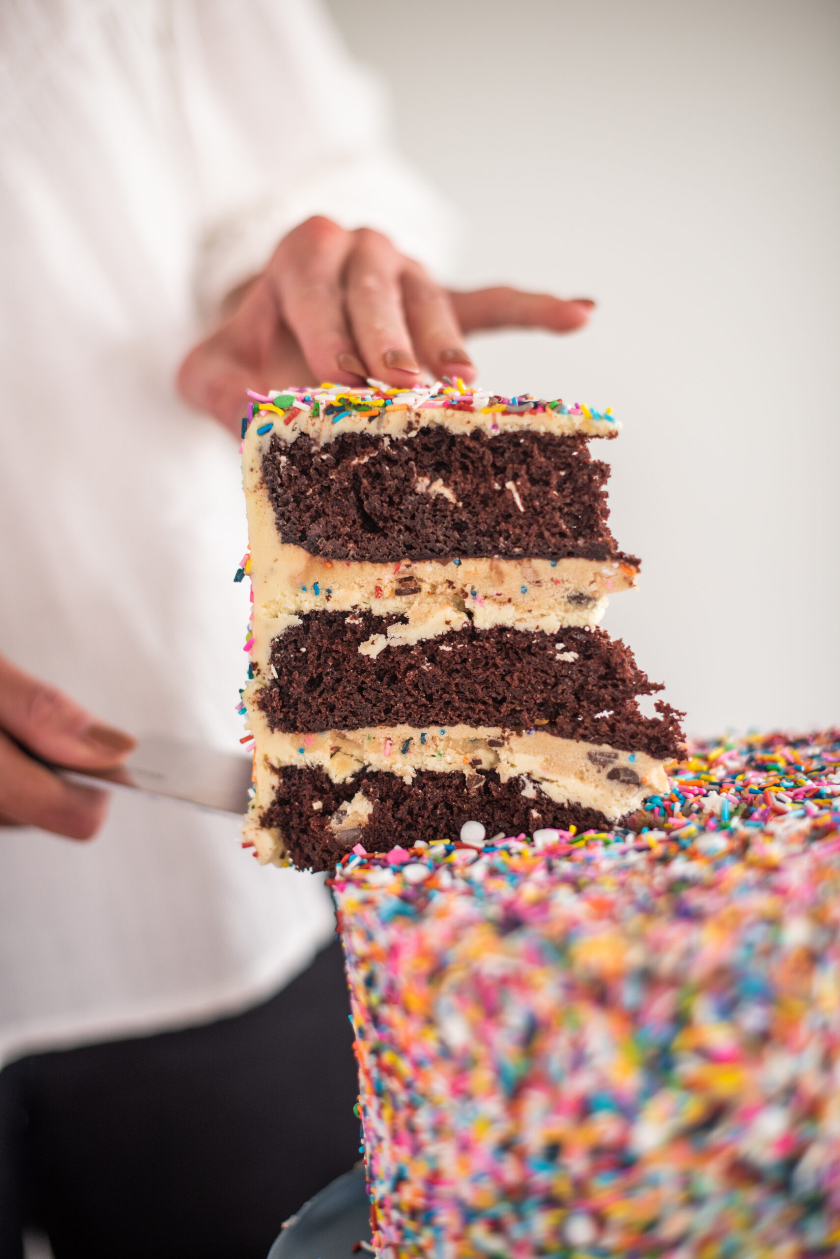 Chocolate cake layers with edible chocolate chip cookie dough and cake batter buttercream