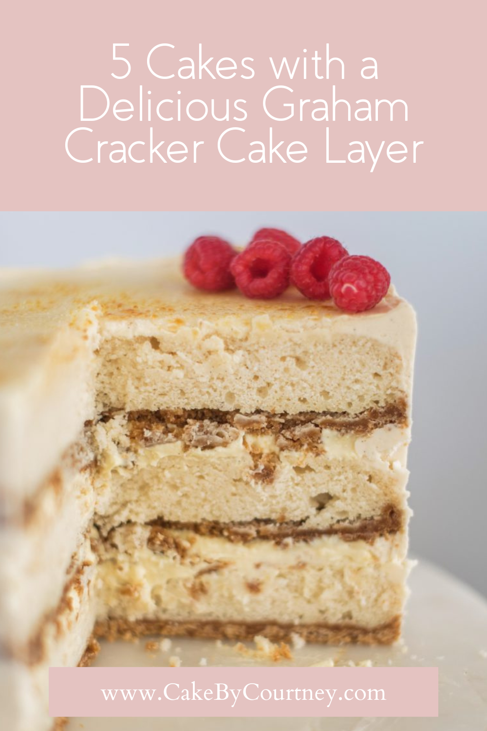 5 cakes with a delicious graham cracker cake layer. www.cakebycourtney.com