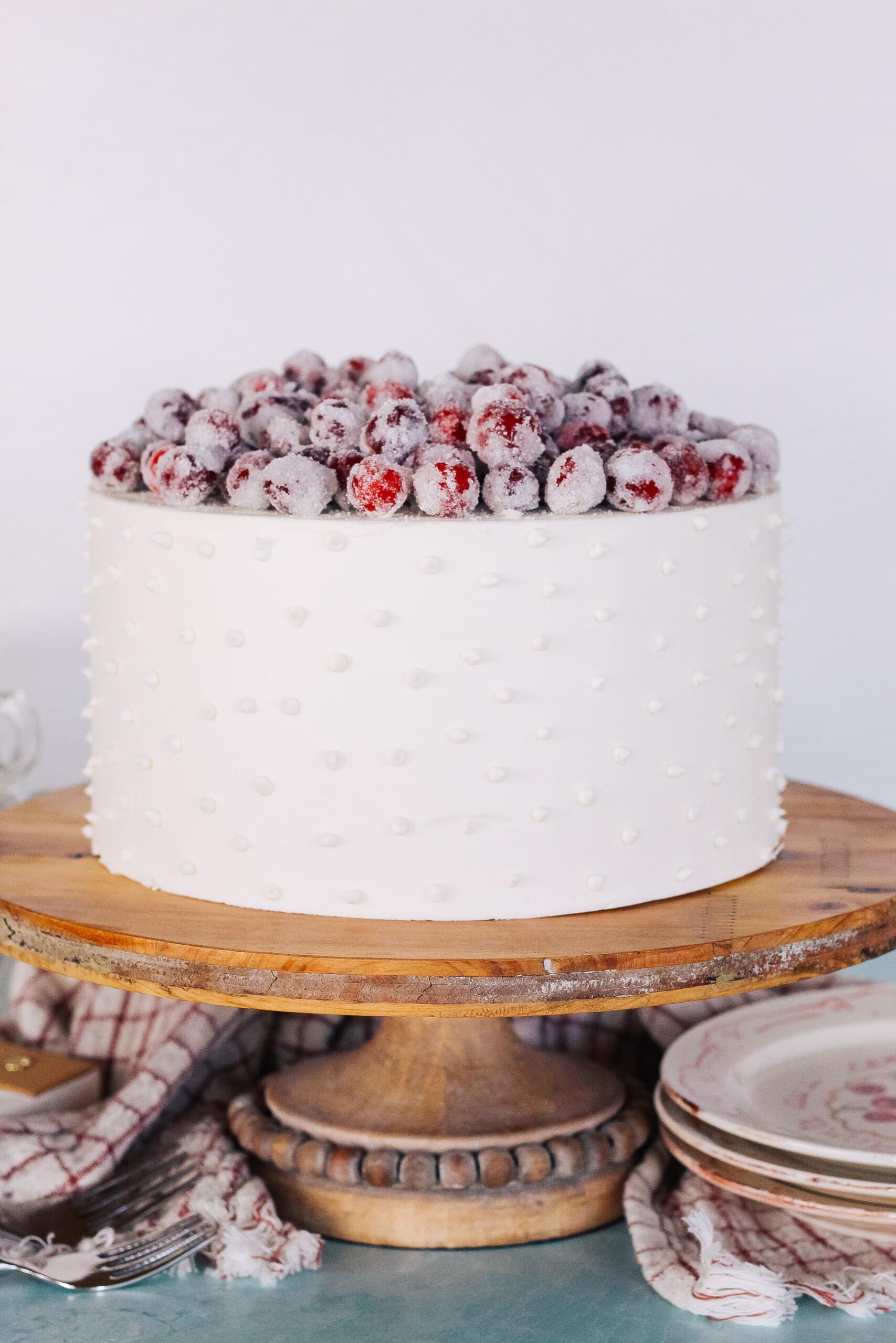 The Best Gingerbread Cranberry Cake