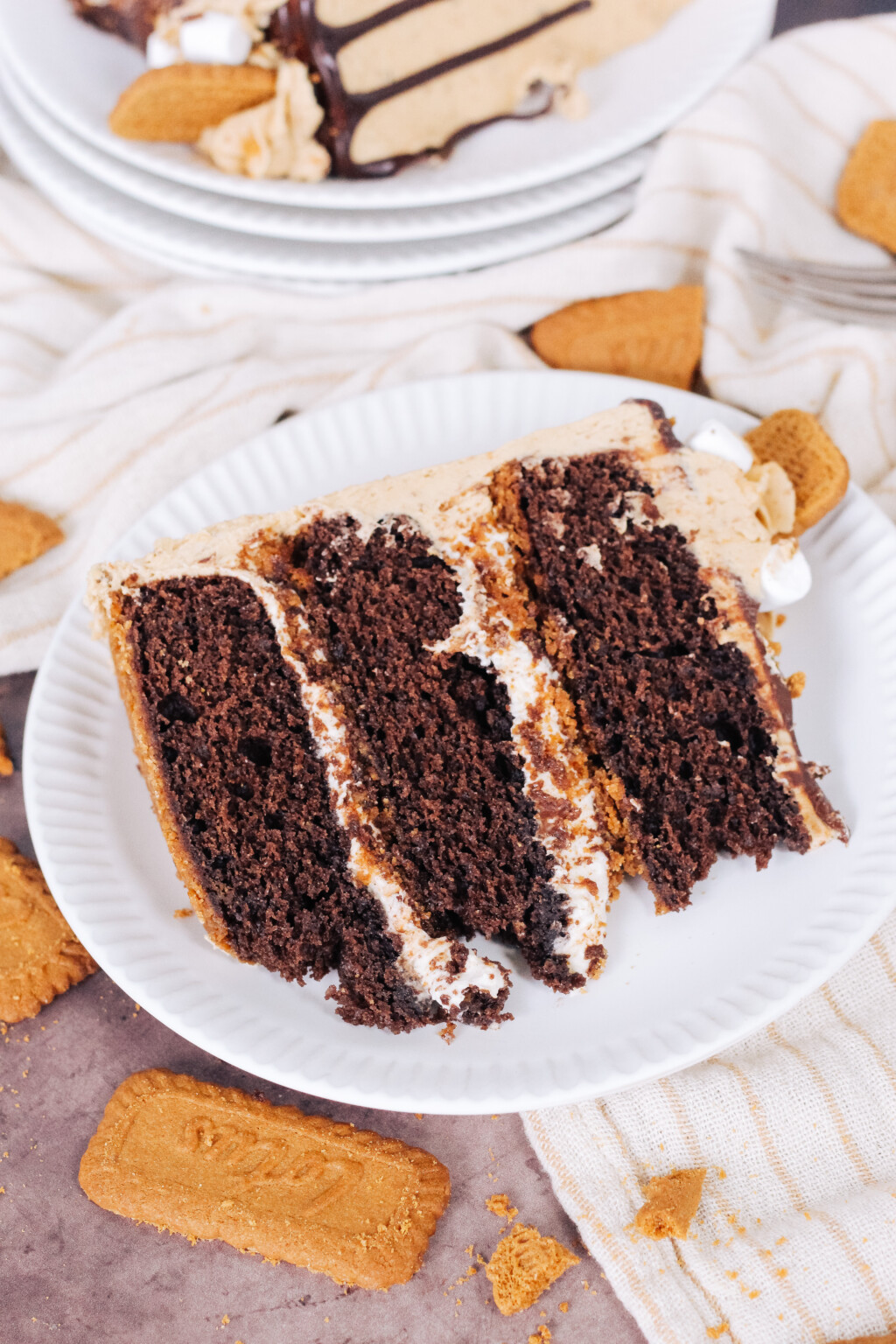 The Best Decadent And Delicious Biscoff Smores Cake From Scratch