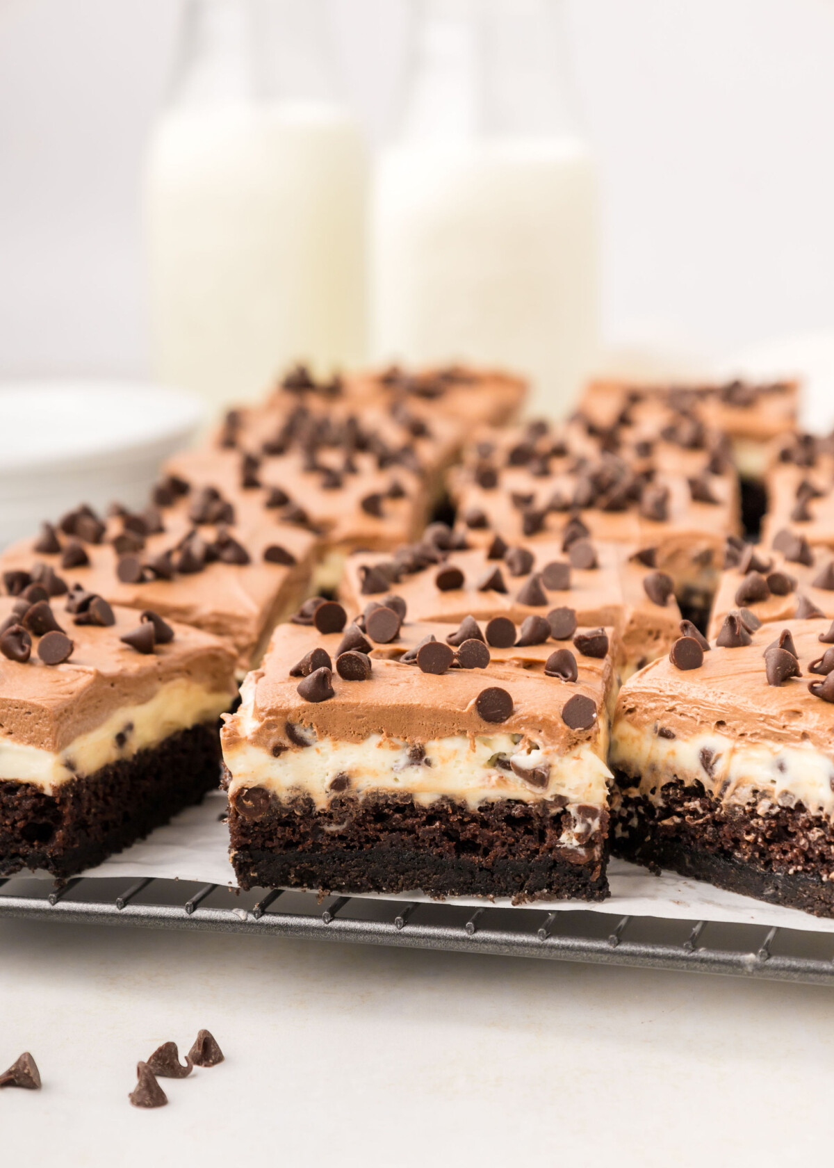 Chocolate cake bars cut into squares on a cooling rack.