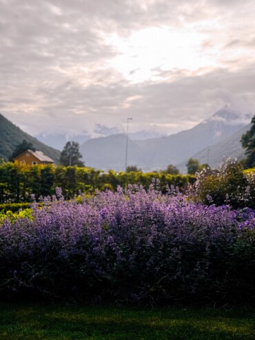 Oye Norway